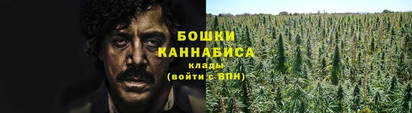 прущая мука Вязьма