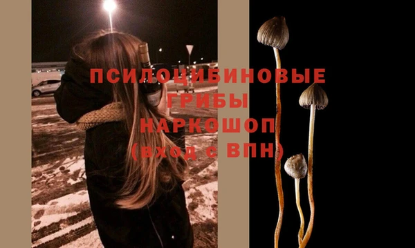 ALPHA-PVP Вяземский