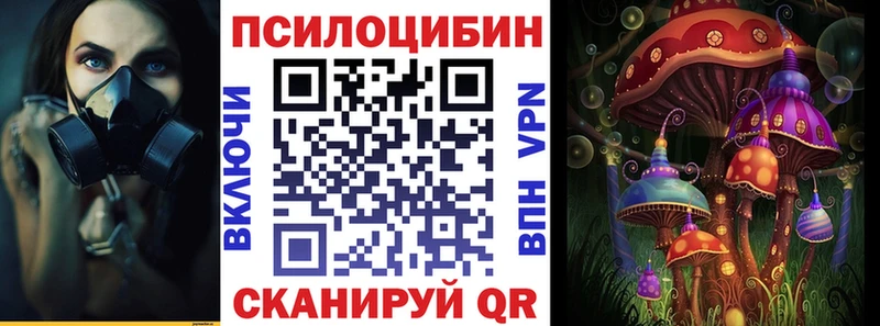Псилоцибиновые грибы Psilocybine cubensis  Находка 
